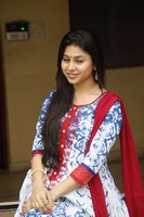 Hamida New Gallery